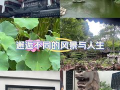-豫园湖心亭茶楼