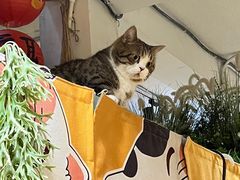 -小时光咖啡馆(北锣鼓巷店)