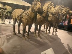 -秦始皇帝陵博物院-丽山园