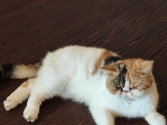 -猫岛主趣味餐厅(鼓浪屿店)