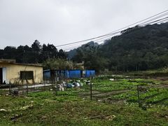 -海南热带雨林国家公园吊罗山景区