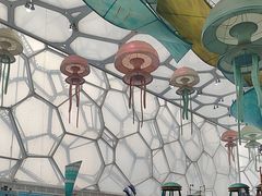 -水立方嬉水乐园