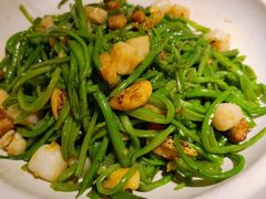 扁青丝炒扇贝柱-味莊·青岛菜(云霄路店)