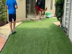 -汪说喵讲宠物乐园宠物酒店(红星美凯龙店)