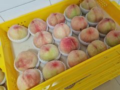 -老袁家蜜桃农场·阳山水蜜桃