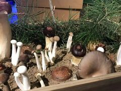 -番食园鲜食火锅(高新店)