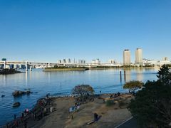 -台场海滨公园船码头