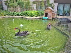 -行者书屋大堂吧 ·下午茶(南京圣和府邸酒店)