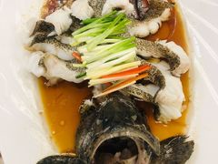 清蒸老虎斑-万宝海鲜舫(劳动公园店)