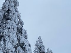 -瓦屋山景区