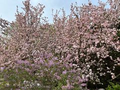 -元大都城垣遗址公园