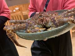 -鲔屋寿喜烧