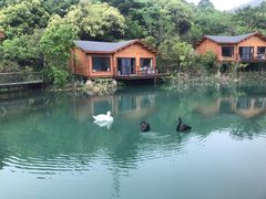 -杭州开元森泊度假乐园