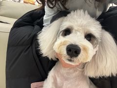 -它主义宠物(梁溪万达店)