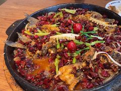 -老板恋上鱼(恒隆广场店)