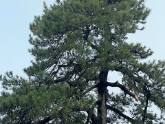 -终南山南五台景区