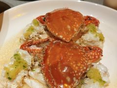 姜茸酱蒸梭子蟹-徐记海鲜(南油永新汇店)