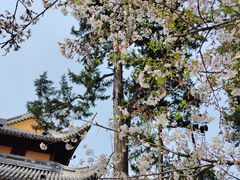 -龙华寺