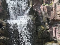 -燕塞湖鸟语林景区