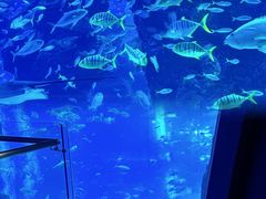 -成都浩海立方海洋公园