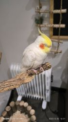 -Zoolung Zoolung动物主题公园(海信广场店)