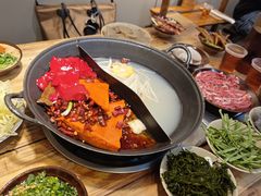 -阳阳老火锅(小南门店)