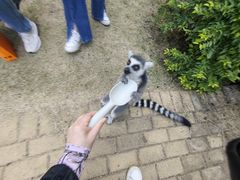 -灵玲国际马戏城