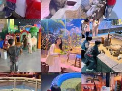 -顺德南宏海立方海洋公园