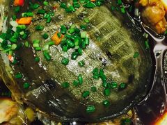 -阿英煲(凉城路店)