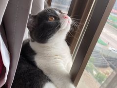 -爱诺耐芙动物医院(万博店)