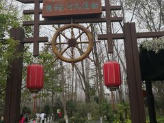 -合肥滨湖国家森林公园