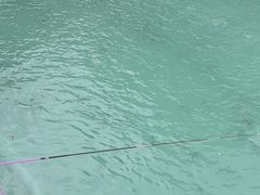 -DGE季风钓虾营地·团建·聚会