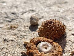 -北京鹫峰国家森林公园