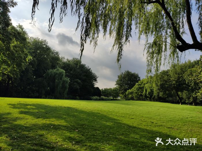 柳浪闻莺公园图片