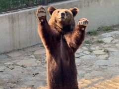 -石家庄市动物园