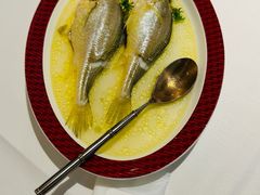 -圆苑(淮海路店)