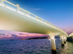 -演武大桥观景平台