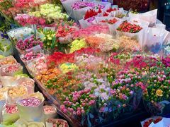 -溪岸路花鸟市场