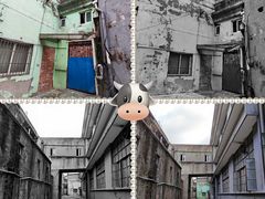 -半岛1919创意园区