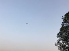 -菊园百果园