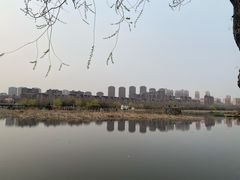 -前关湿地公园