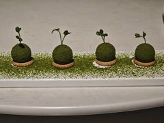 -荟廷·晶萃(静安寺店)