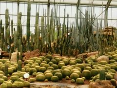 -南通洲际绿博园