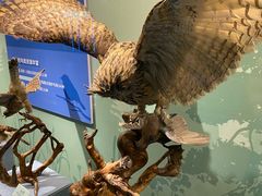 -陕西自然博物馆