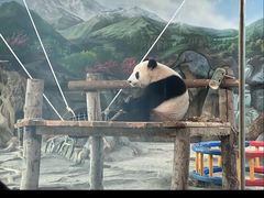 -武汉动物园