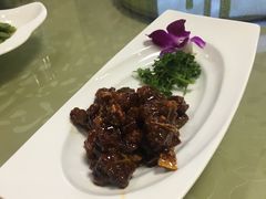 -东康桂家农庄