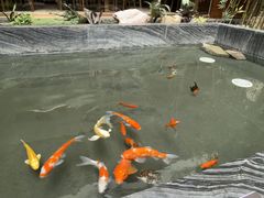 -北苑汤泉