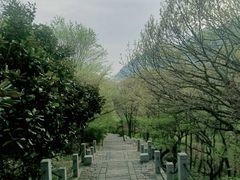 -青岛崂山太清宫