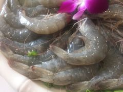 -德龙火锅(松源街直营店)