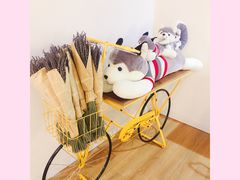 -Husky Go! 哈士奇体验馆·宠物咖啡厅狗咖